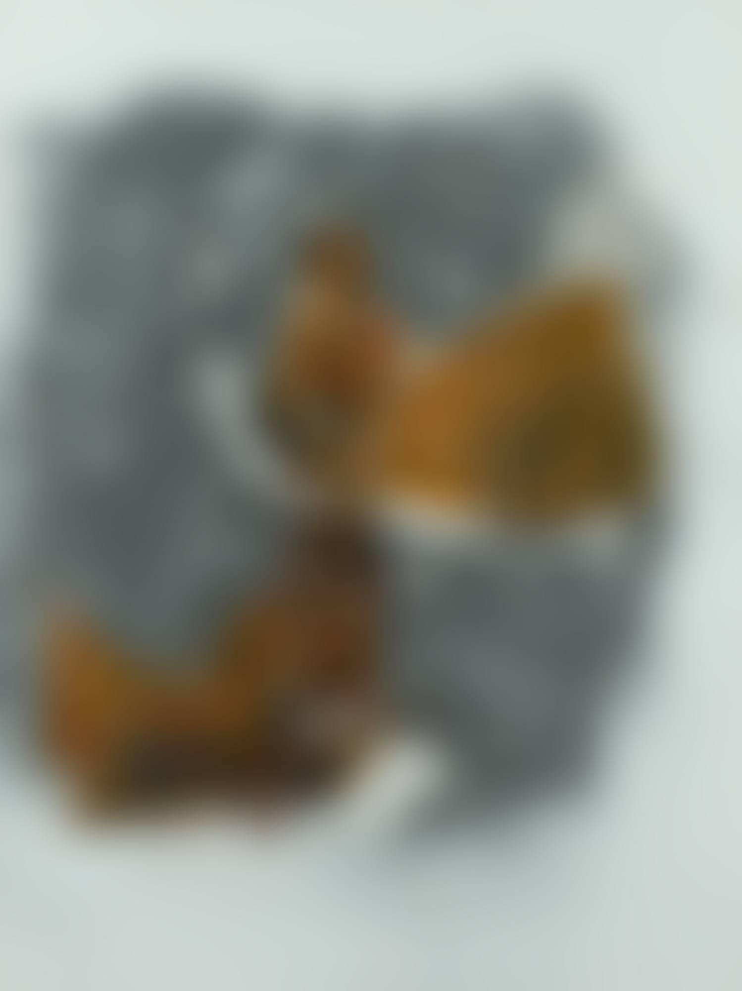 SCHNEEROMAN (preview)