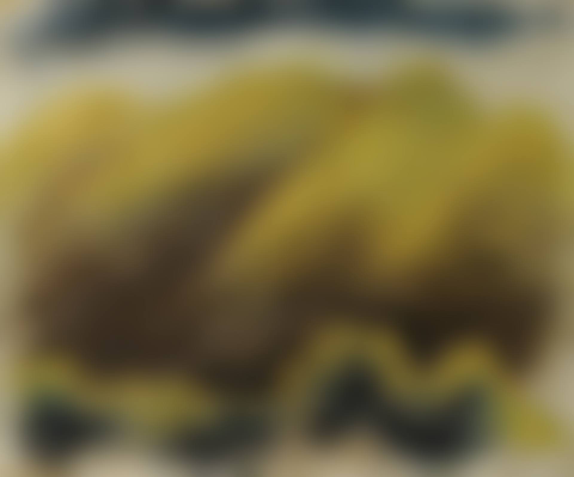 UNTITLED (preview)