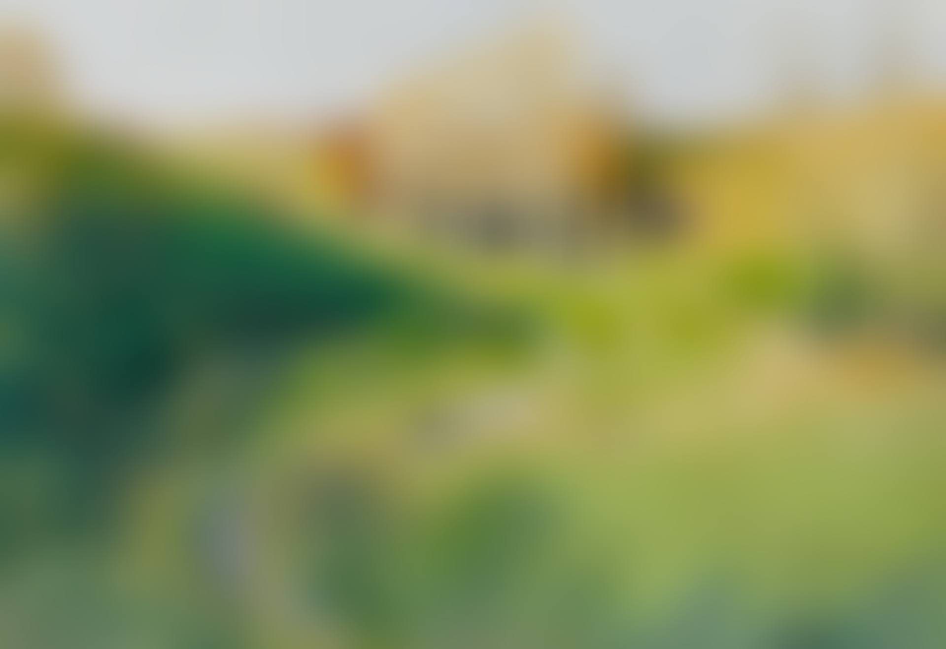 AU BORD DU RUISSEAU (preview)