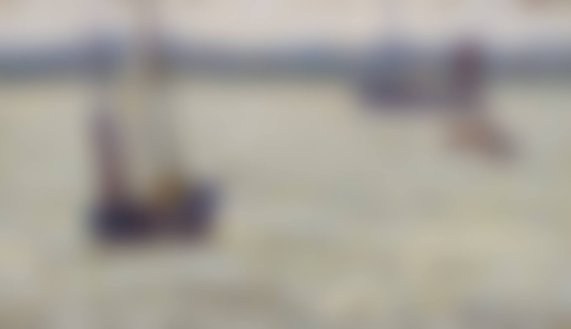 BATEAUX DANS LA LAGUNE, ETAPLES (preview)