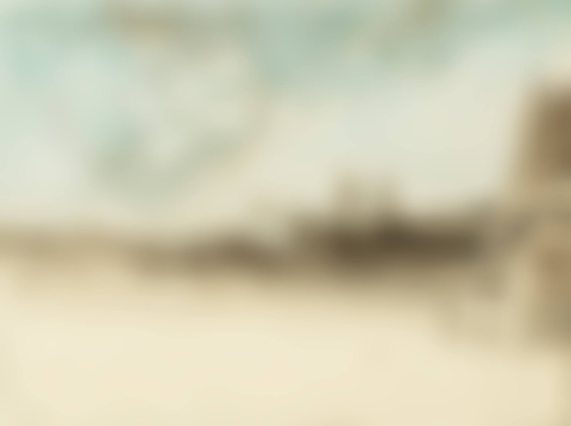 THE ROOFS OF PARIS (preview)
