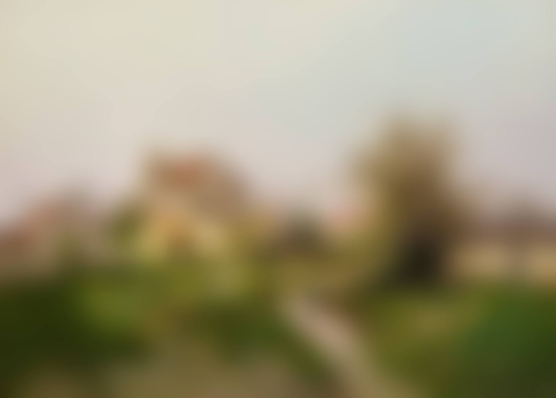 RURAL SCENE IN THE BARBIZON SUBURBS (preview)