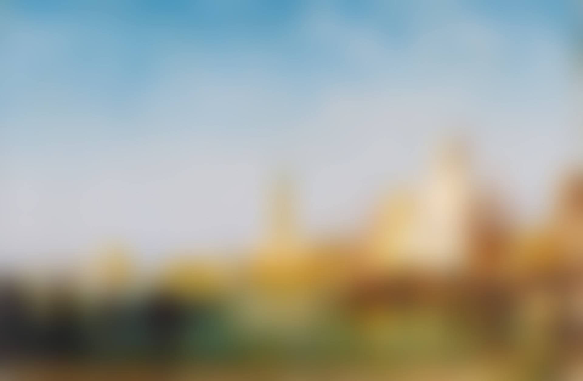 VIEW OF VENICE WITH THE DOGE'S PALACE (preview)