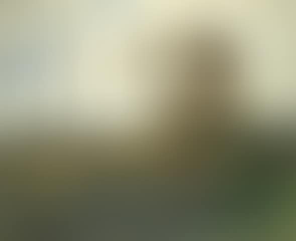 Paysage aux peupliers' (preview)