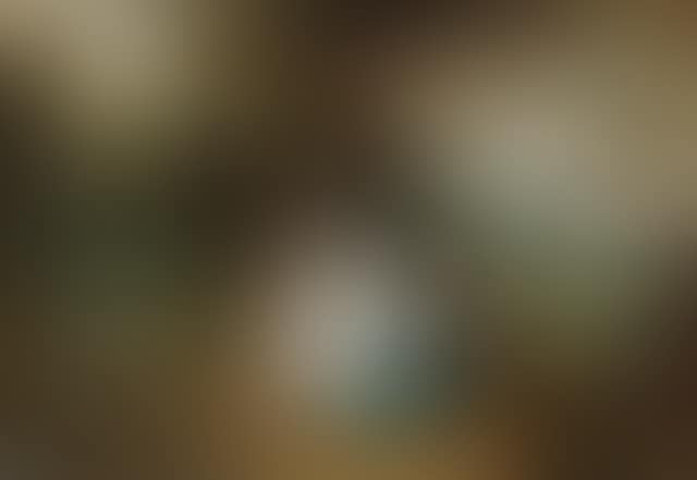 The Rest on the Flight into Egypt (preview)