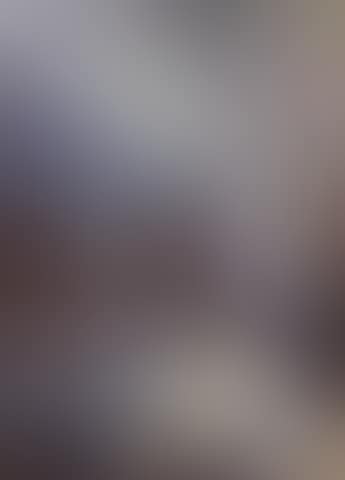 Golden eagle eyrie (preview)