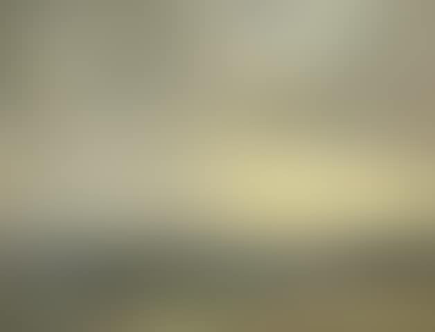 Salisbury Plain (preview)