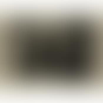 Selbstbildnis (preview)