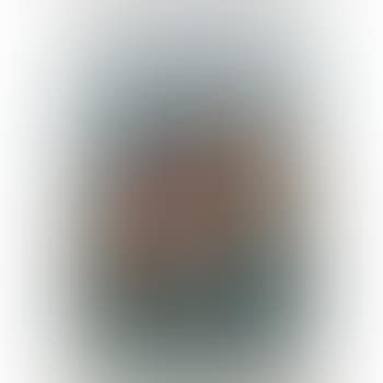 The Capture (preview)