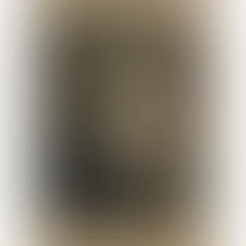 Woman in Window (preview)