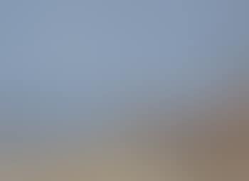 Beach scene, Morning (preview)