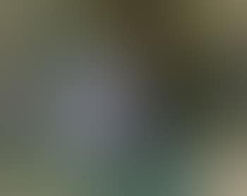 Nymphéas (preview)