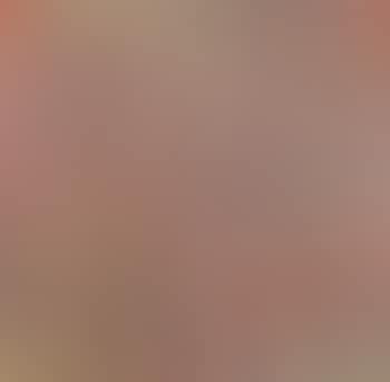 Venticinque per venticinque seicentoventicinque lettere dai cento colori… (preview)