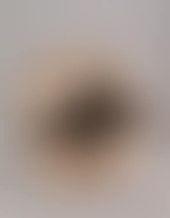 Sfera (preview)
