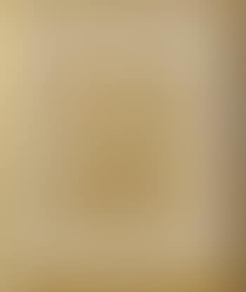 Sheaves Of Wheat; Study Of A Branch (preview)