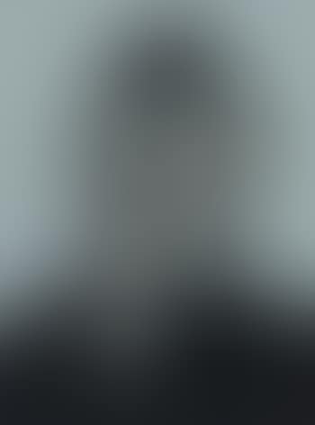 The King (Retrato imaginario de Felipe II) (preview)