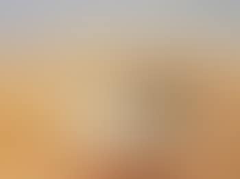 Landscape with waterhole and herons, near Alice springs (preview)