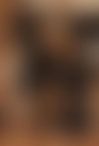 Untitled (preview)