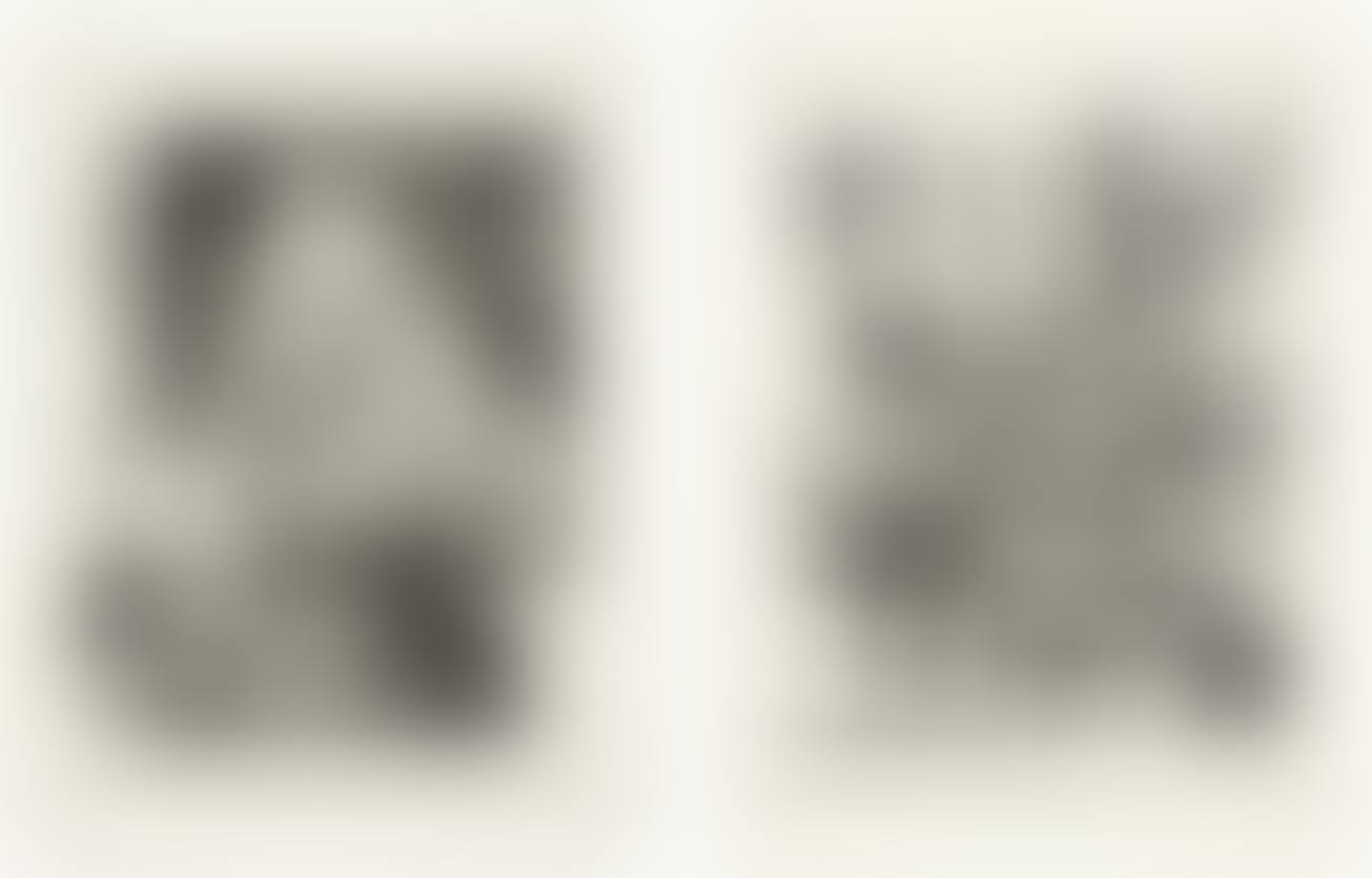 Untitled; and Untitled (preview)