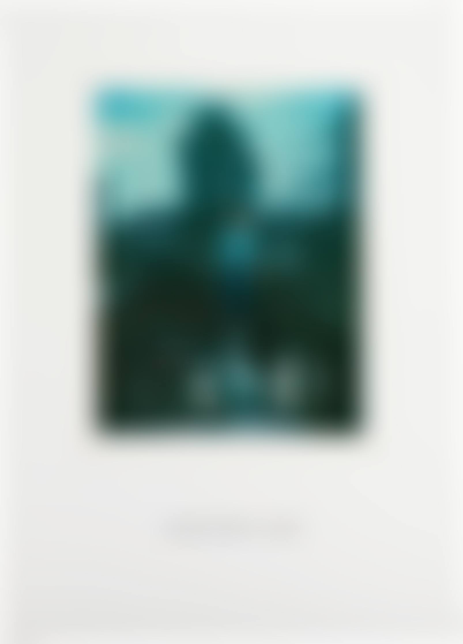 Polaroid Portrait, Hermann Nitsch 21.10.76 (preview)