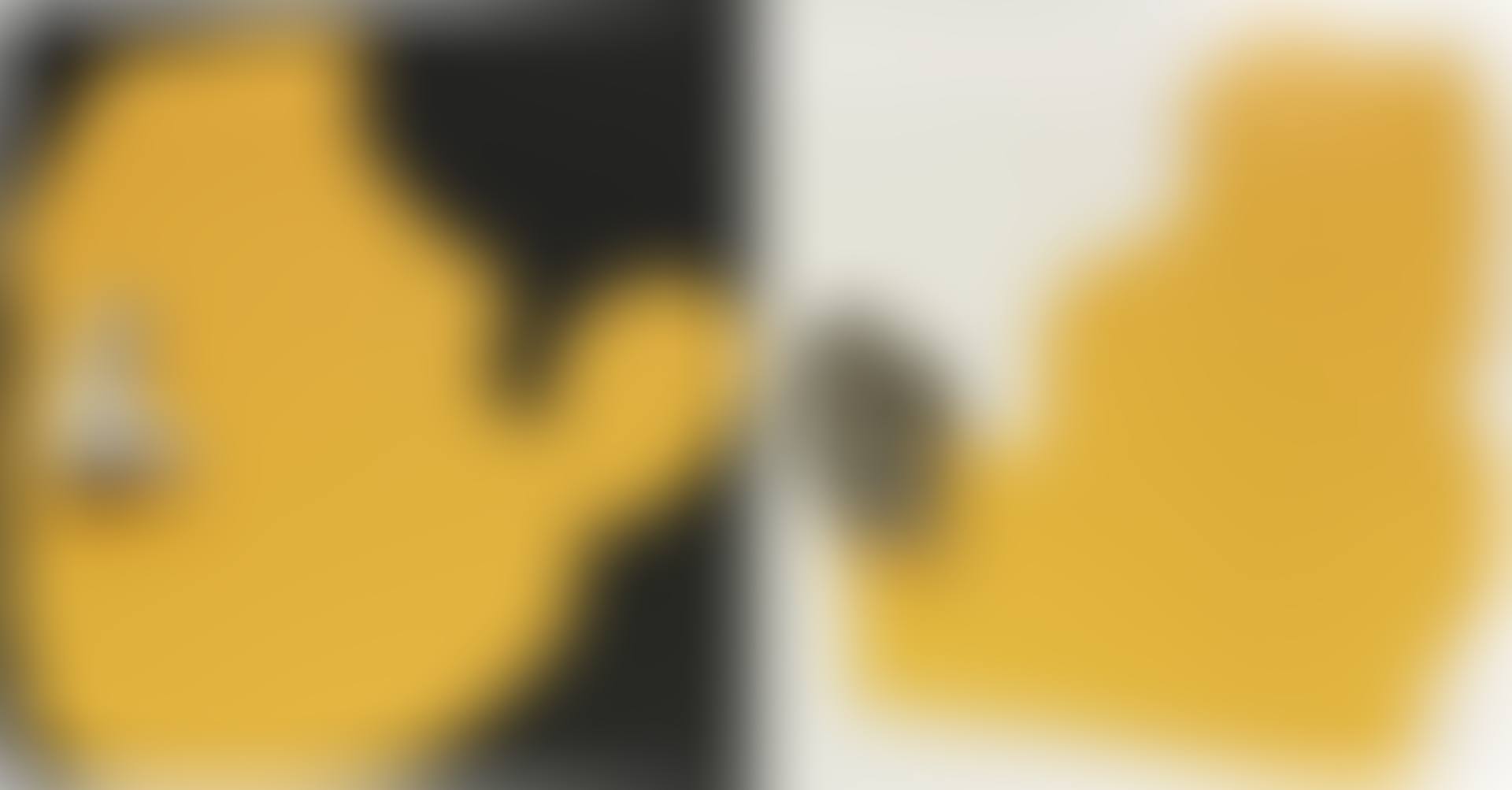 Noses & Ears, Etc.: The Gemini Series: Two Profiles, One with Nose (B&W); One with Ear (B&W) (preview)
