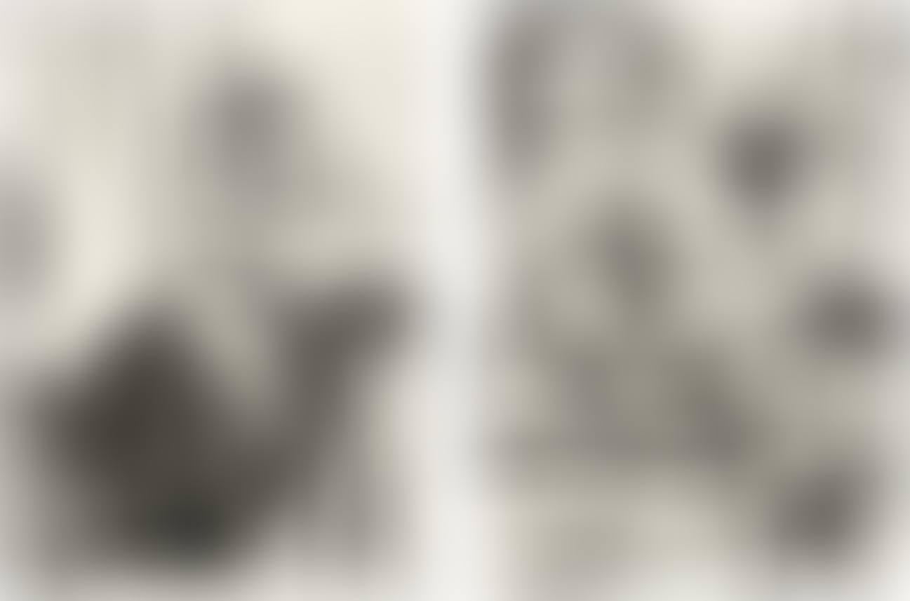Untitled; and Untitled (preview)