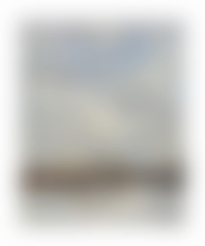 Deauville. Le bassin (preview)