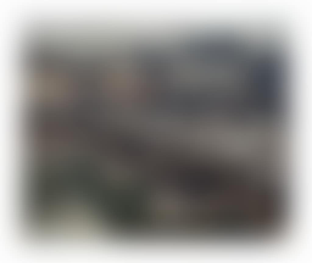 Le Pont-Neuf, temps gris, Paris (preview)