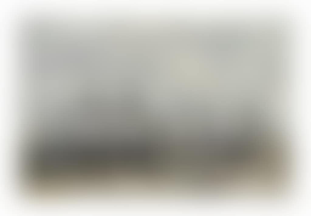 Portrieux. Bateaux échoués (preview)