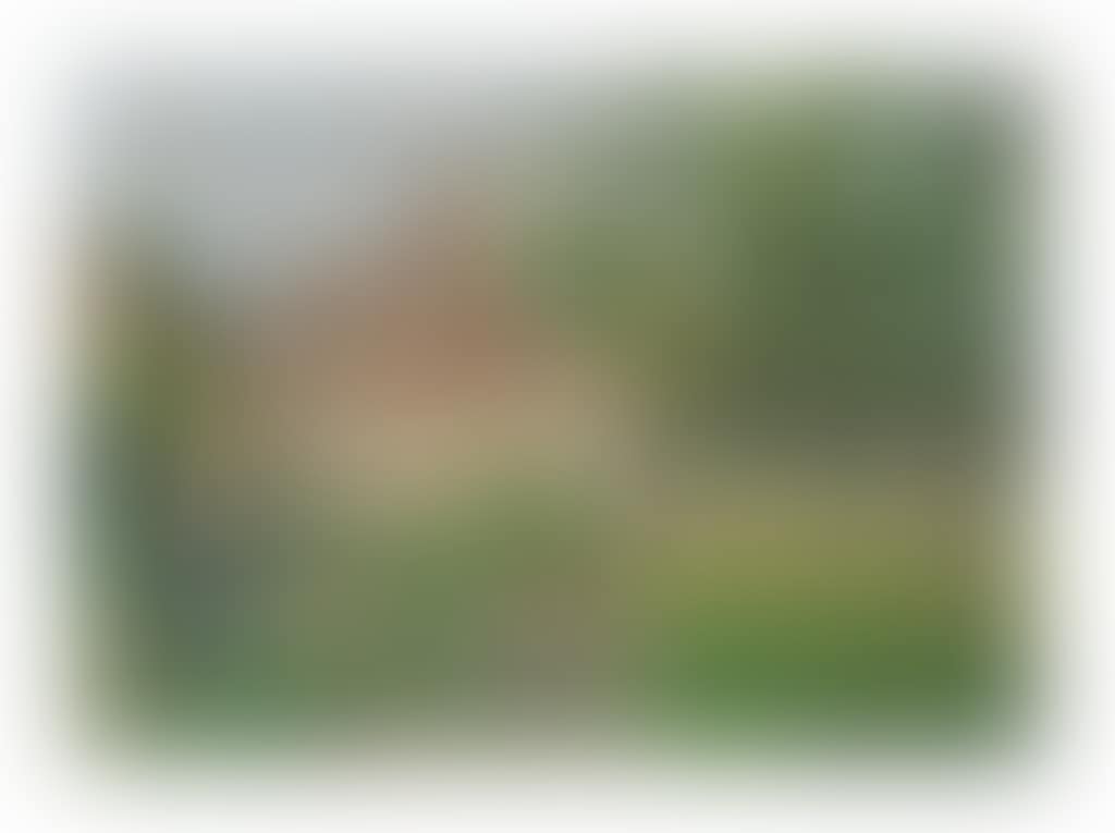 Coin du jardin à Éragny (preview)