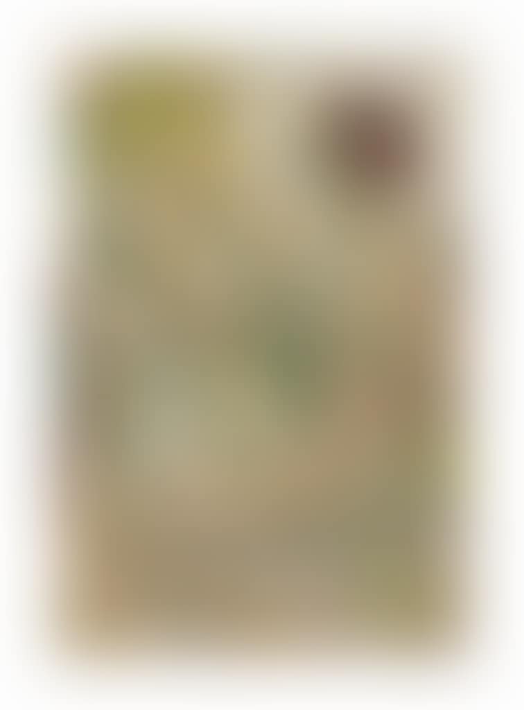 Spiel am Strand (preview)