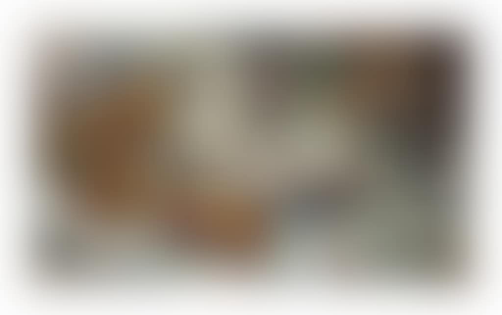 Nature morte (preview)