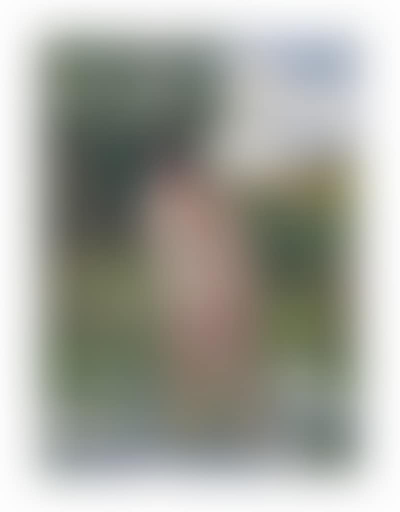 Baigneuse les pieds dans l'eau (preview)