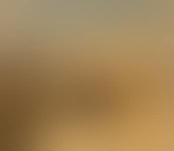 Egyptian town (nature study) (preview)