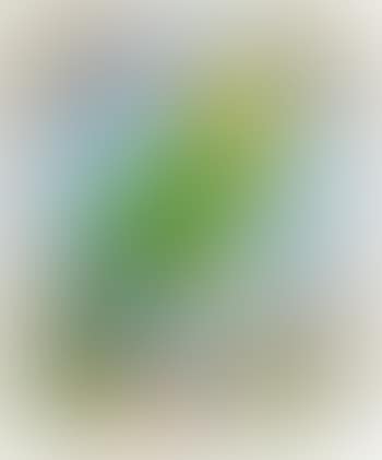 Parrot Eyphka, from Decade ,
1971 (preview)