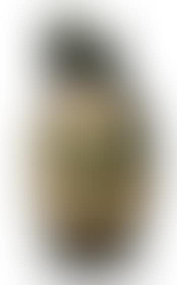 Bearded Man's Wife ,
1953 (preview)