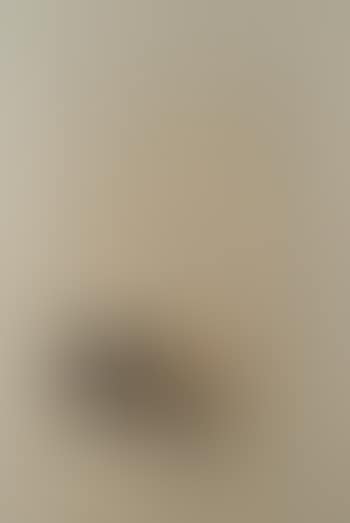 Variation No 3 ,
1971
-
1972 (preview)