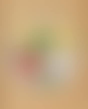 Projet d'assiette (preview)