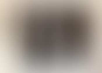 L-15 ,
1974 (preview)