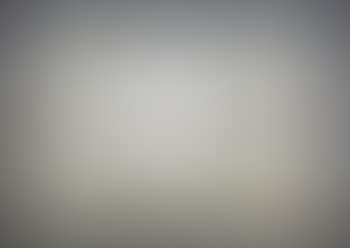 [Untitled] , (preview)