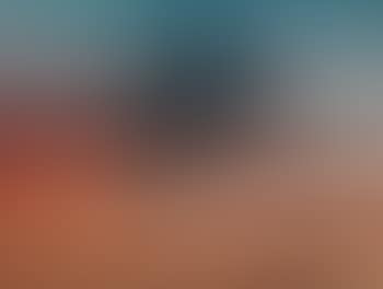 Paysage (preview)
