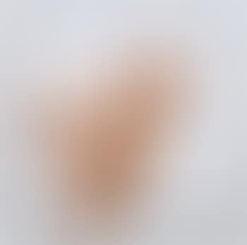 Marilyn Monroe: The Last Sitting Portfolio 3 (preview)