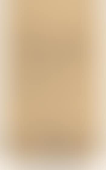 Portrait of George Seldes (preview)
