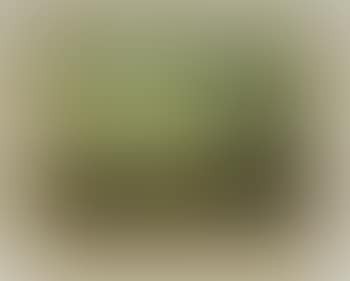Shepherds in a pastoral landscape (preview)