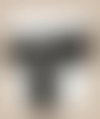 Bildu (preview)
