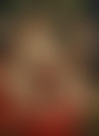 Allegory of charity (preview)