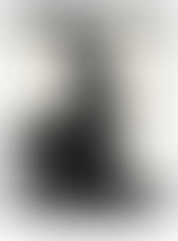 Untitled (pl. 1 from Africa Suite) ,
1970 (preview)