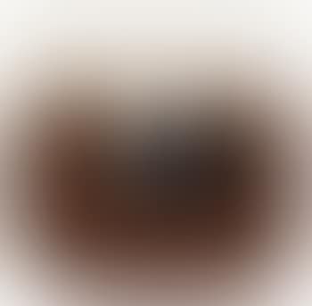 Brown Image ,
1971 (preview)