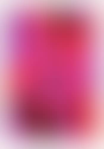 Joie de Vivre, I - IV ,
2004 (preview)