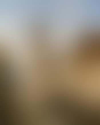 Frankfurt am Main Cathedral (preview)